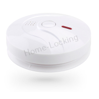Home-Locking bedrade rook-detector.DR-1310